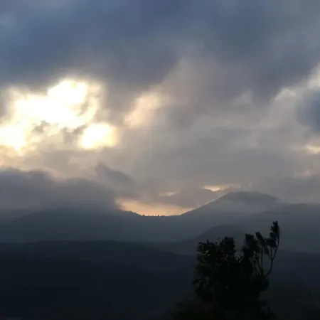 Ludwig Im Kuenstlerhaus Langmuhle