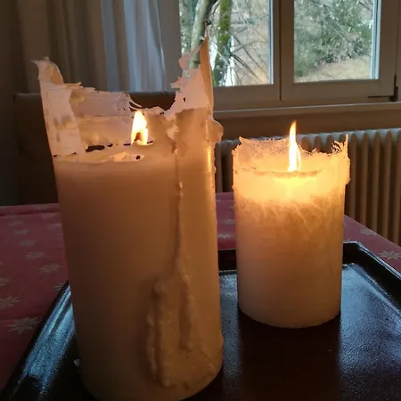 Ludwig Im Kuenstlerhaus Langmuhle