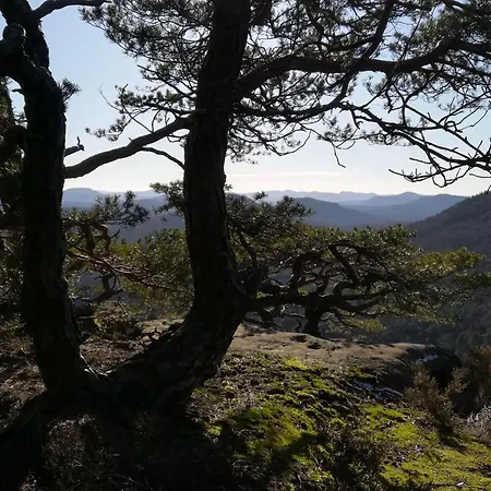 Ludwig Im Kuenstlerhaus * Langmuhle